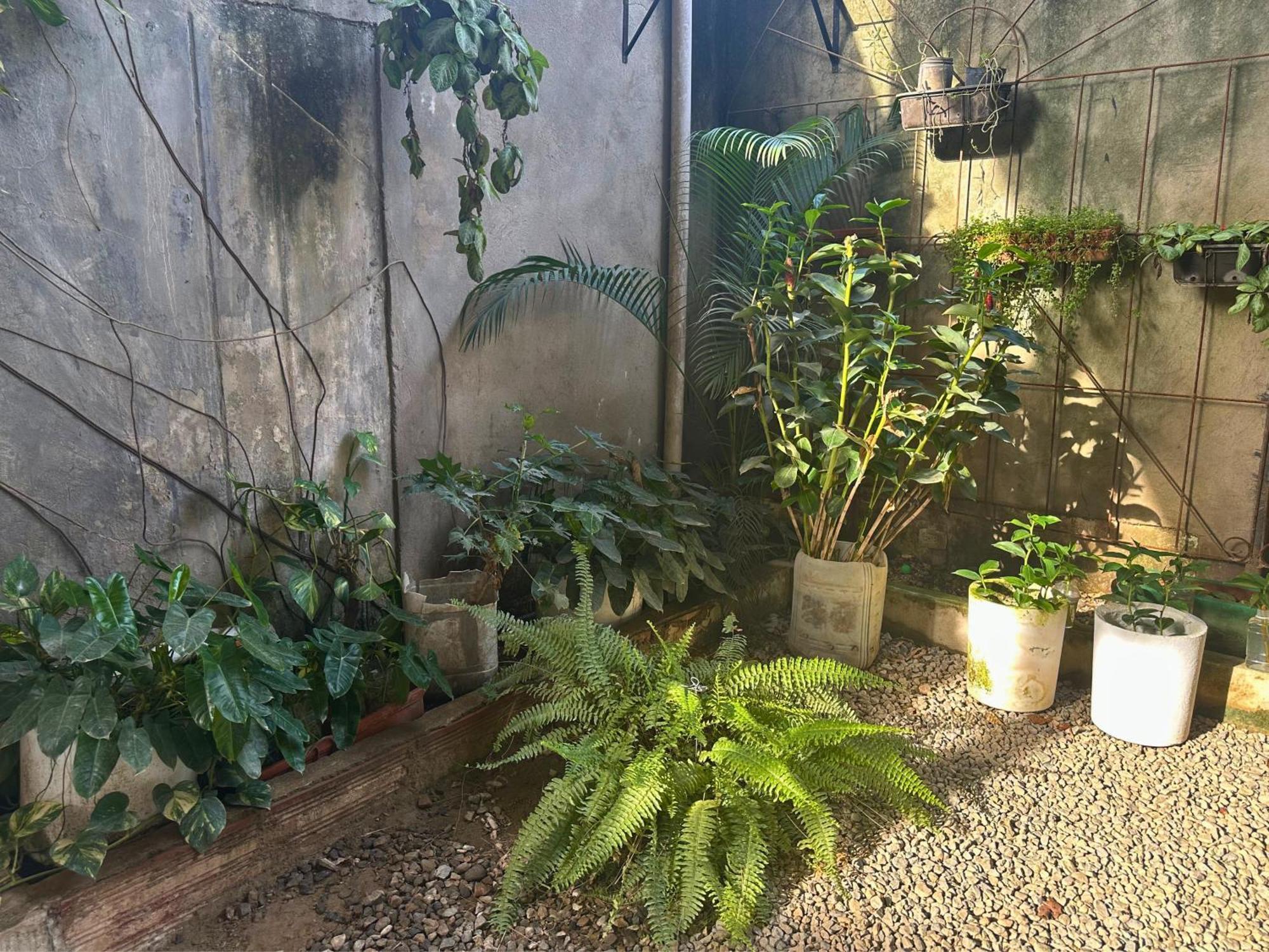 Hotel Casa Colibri Palomino Exterior foto